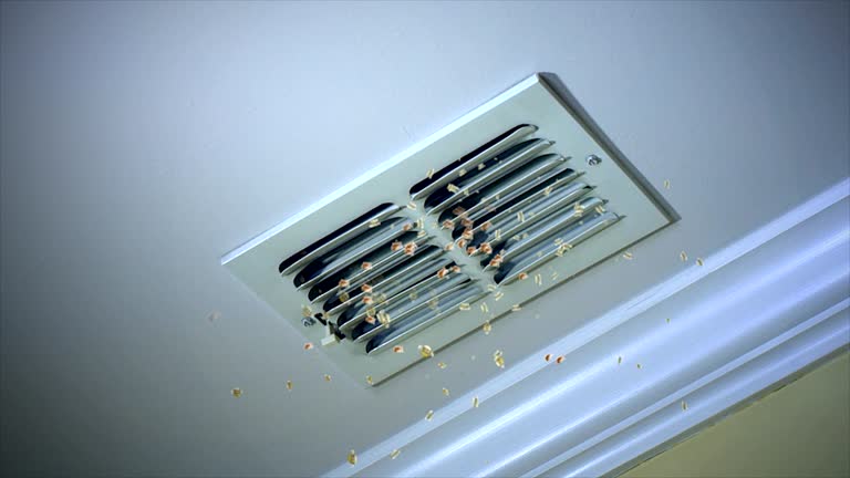 Best Local Air Duct Cleaning Services  in Willow Street, PA