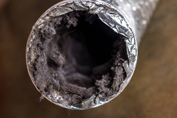 Best Air Duct Cleaning Company Near Me  in Willow Street, PA